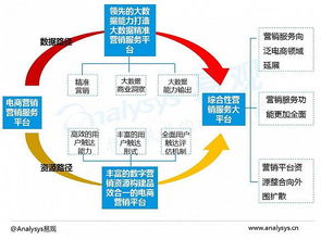 2016中國(guó)電商數(shù)字營(yíng)銷市場(chǎng)專題報(bào)告 數(shù)字技術(shù)服務(wù)的崛起與變革