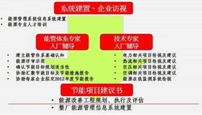 數字科技賦能智慧壽光 環球軟件構筑城市治理新基石